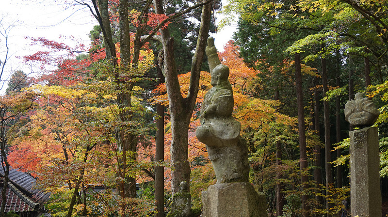 20141112 11123701.jpg