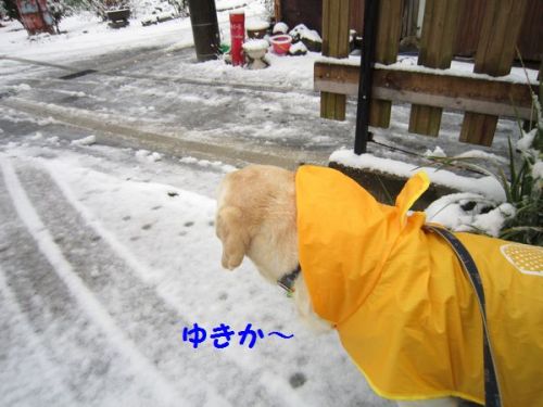 雪２.jpg