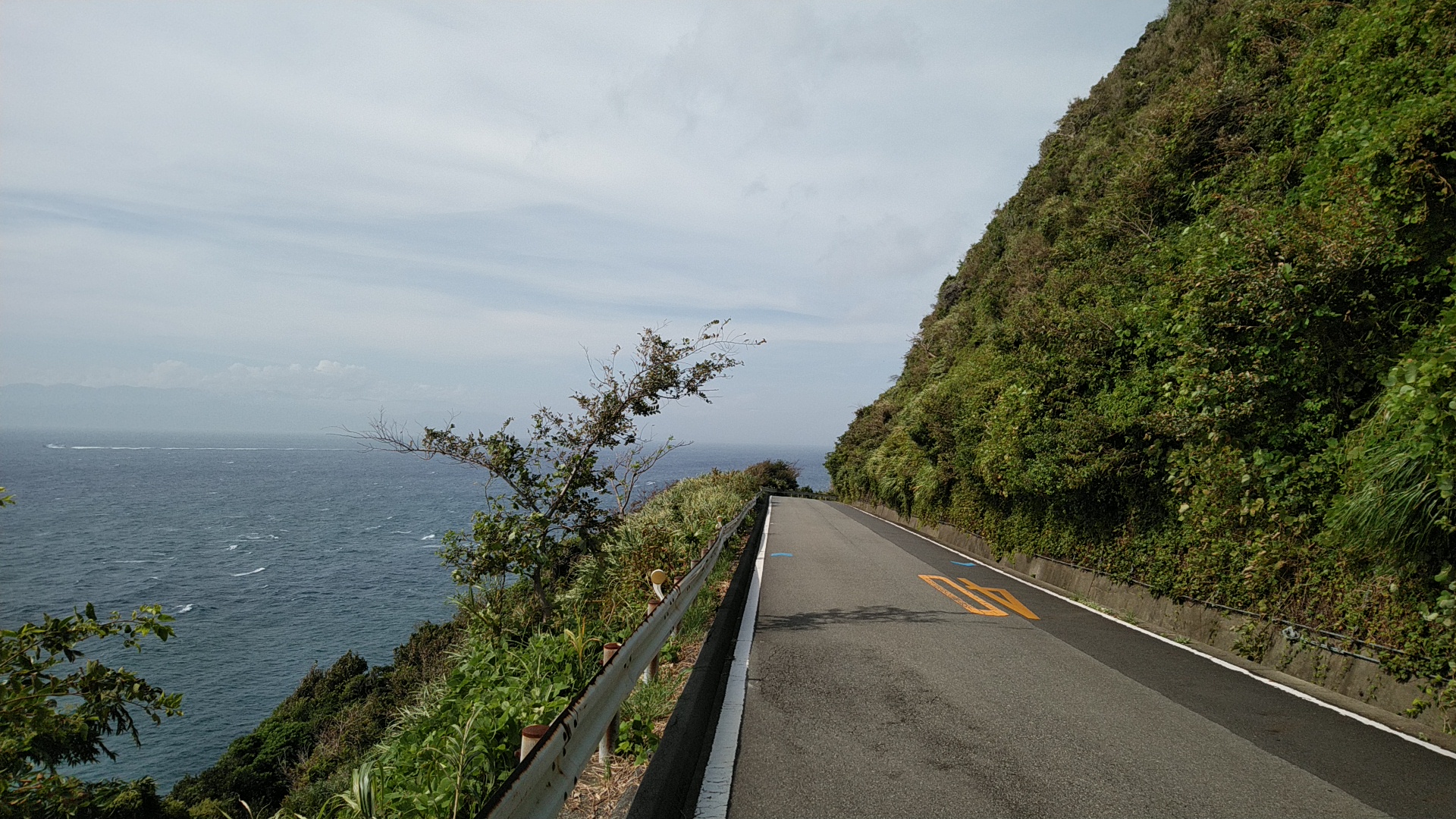 20190909  DSC_0003.jpg.jpg