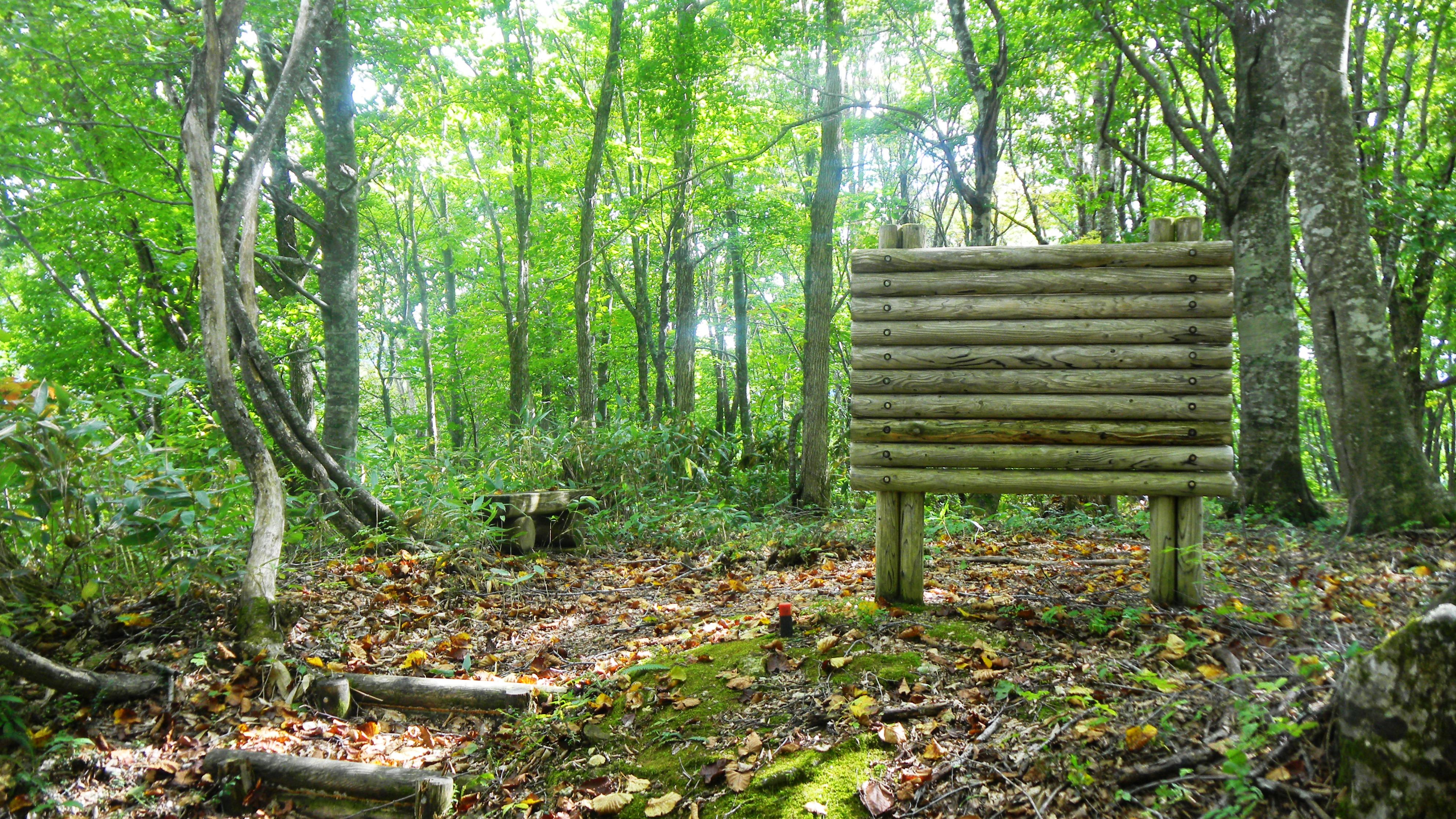 040小谷山城跡 (3).JPG