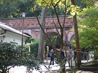 106.jpg