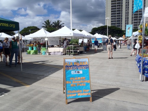 ２０１２年ハワイ 484.jpg