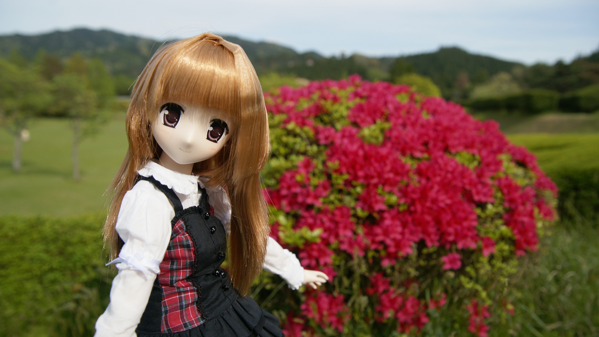 20150429植樹祭　5.jpg