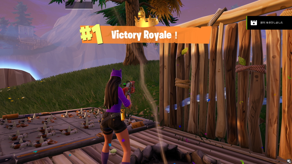 Fortnite   2025_03_08 20_18_240001.JPG