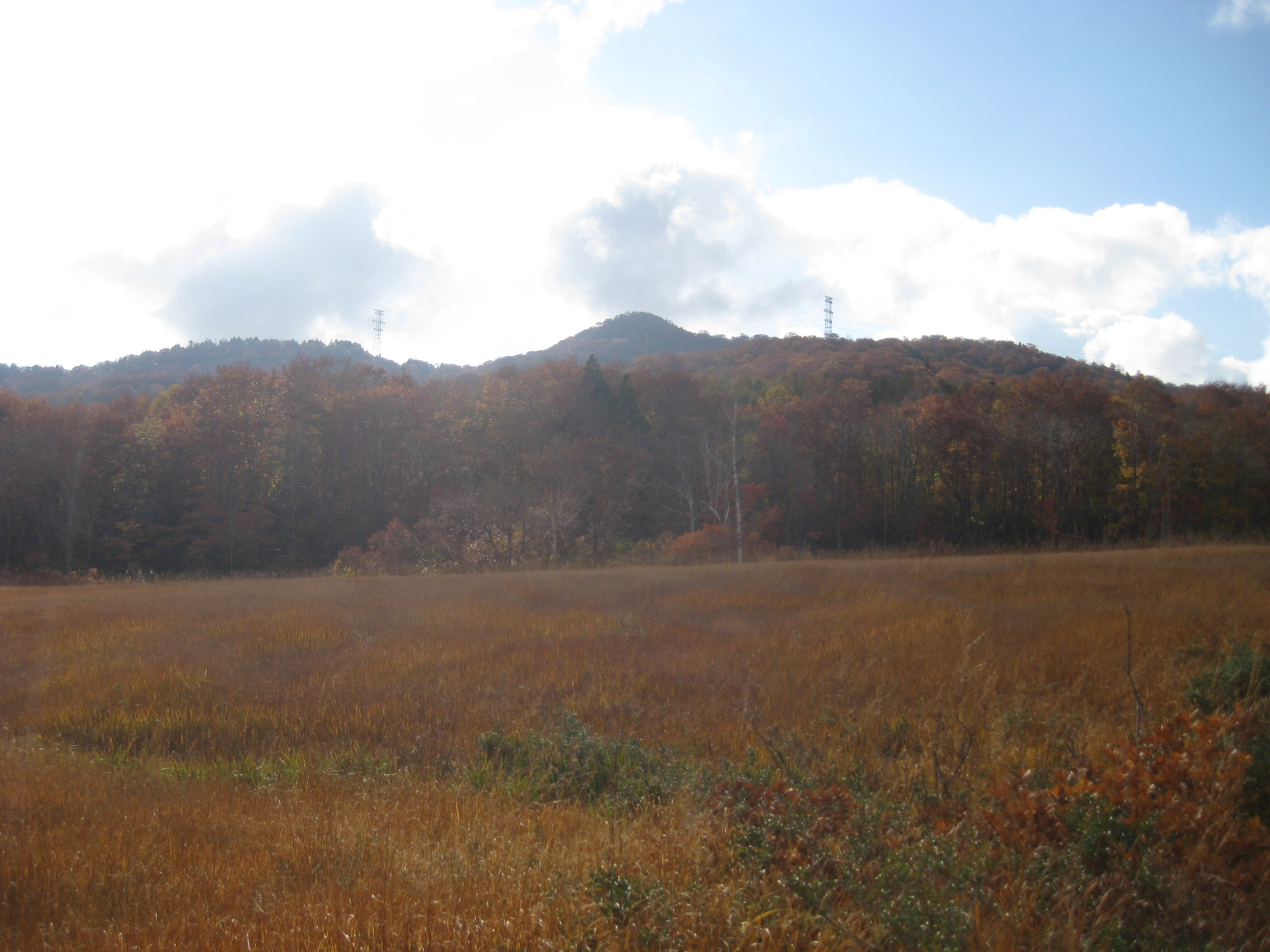 IMG_4492.JPG
