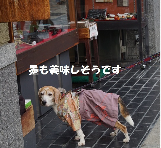 DSC01071.jpg