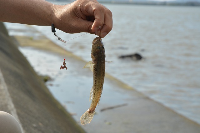 showPhoto (640×426)