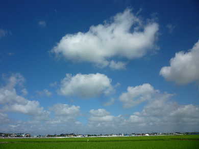 梅雨明け.JPG