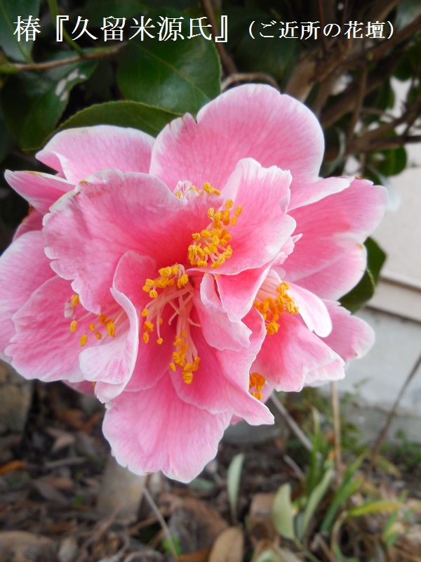 DSCN3960.JPG