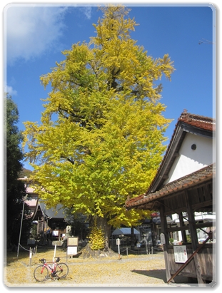 1424新宮神社R37（広島三次線）沿線風景_1424.jpg