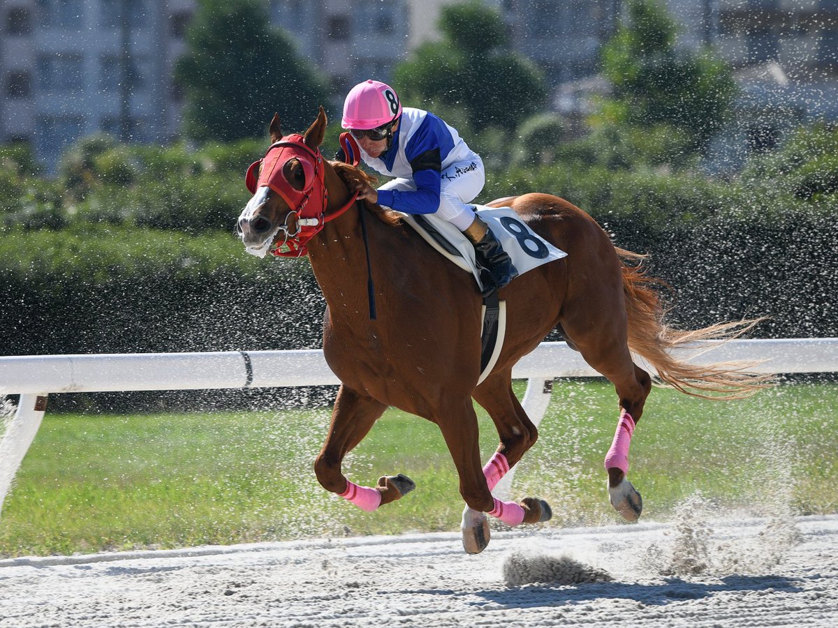 新人浅野駒野ｃ.jpg