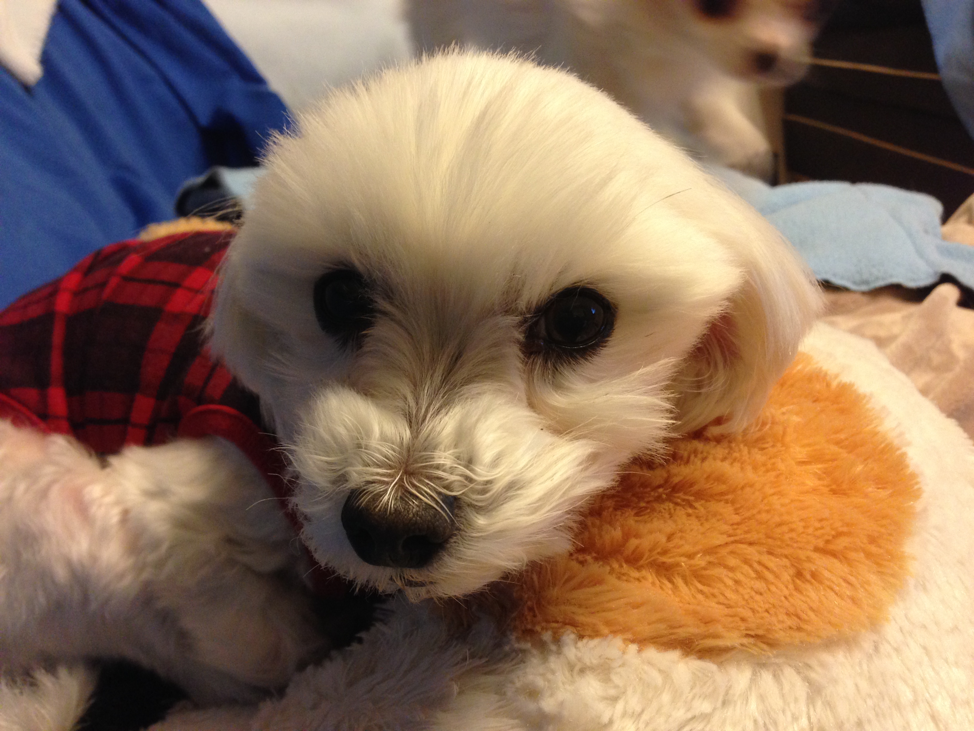 201412122024_7444_iphone.jpg