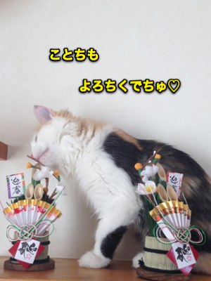 花　年賀５.jpg