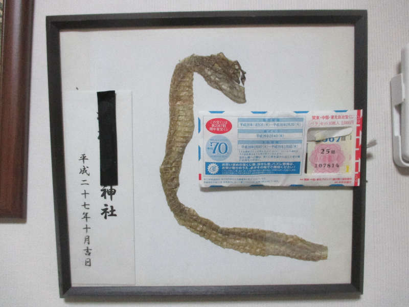 へび.JPG