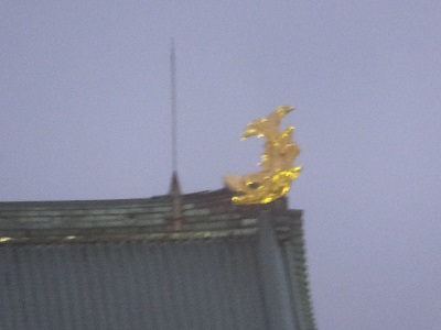 83.jpg