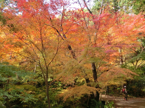 奈良・二上山 030.JPG