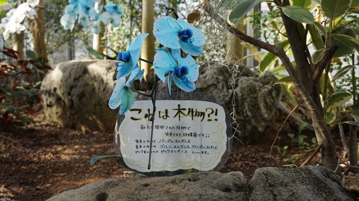 20160127 11062201.JPG