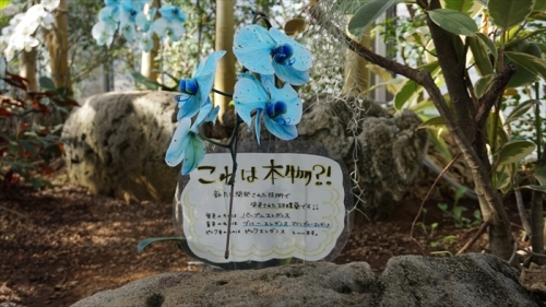 20160127 11062201.JPG