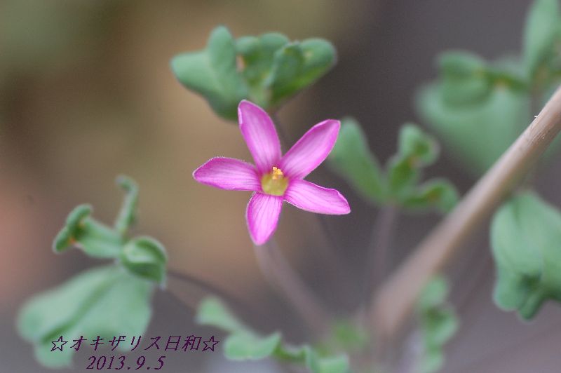 DSC_8901.JPG