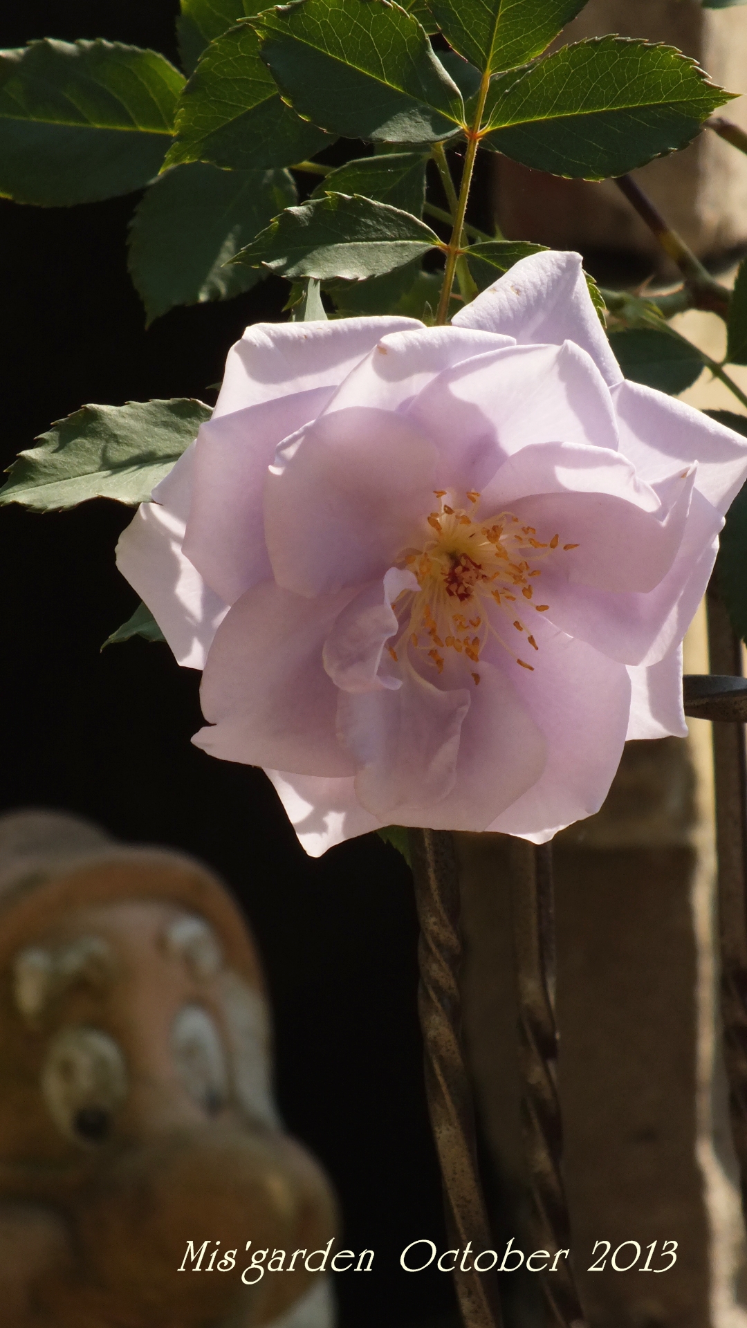 DSCF0904.JPG