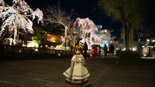 陽菜ちゃん　祇園白川　夜桜 (1 - 1)-25.jpg