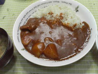 カレー19073102