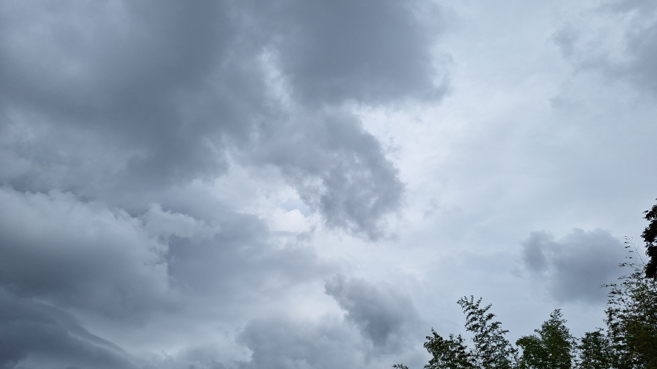 IMG_20240602_121748.jpg