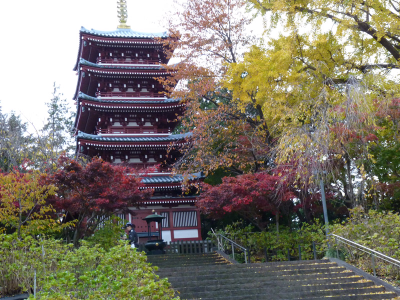 hondoji-003w.jpg