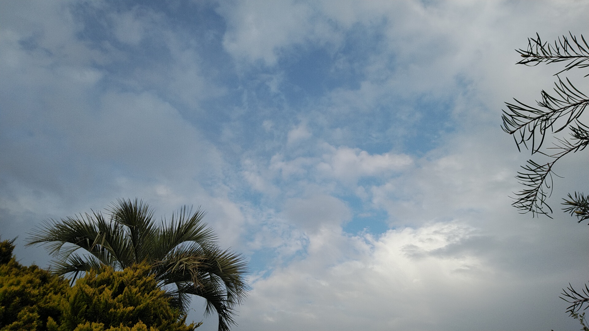 20220417  DSC_0002.jpg