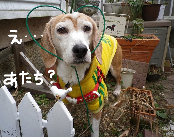 IMGP4485.jpg
