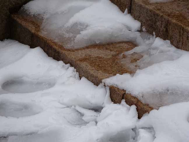 神戸六甲山 (9).JPG