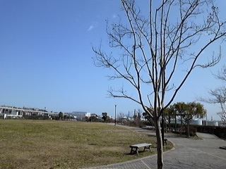 DVC00002  20120319.JPG