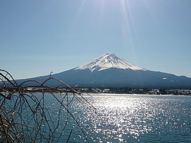 20150118  DSC_0001.jpg