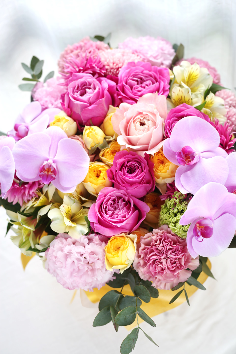 pink11000-112.jpg