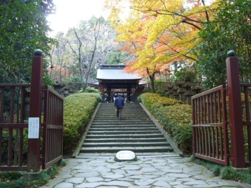 121125touhoku4.jpg