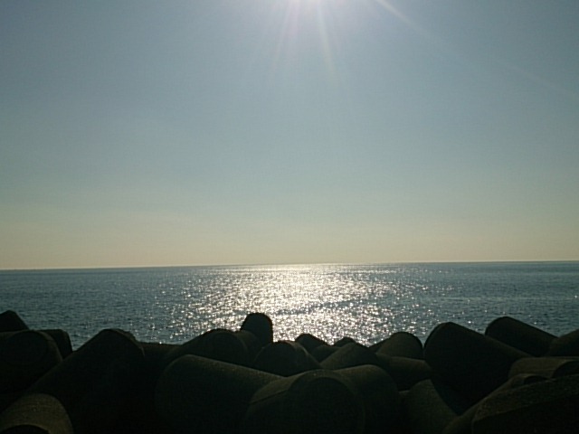 20151209  DSC_0009.jpg