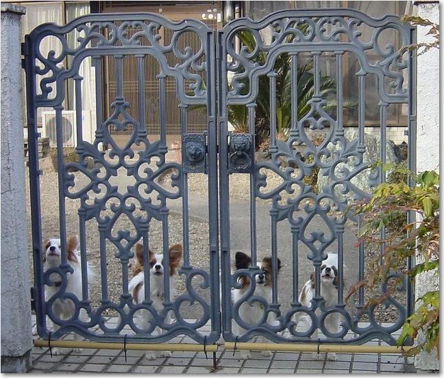 24門扉ワンワン