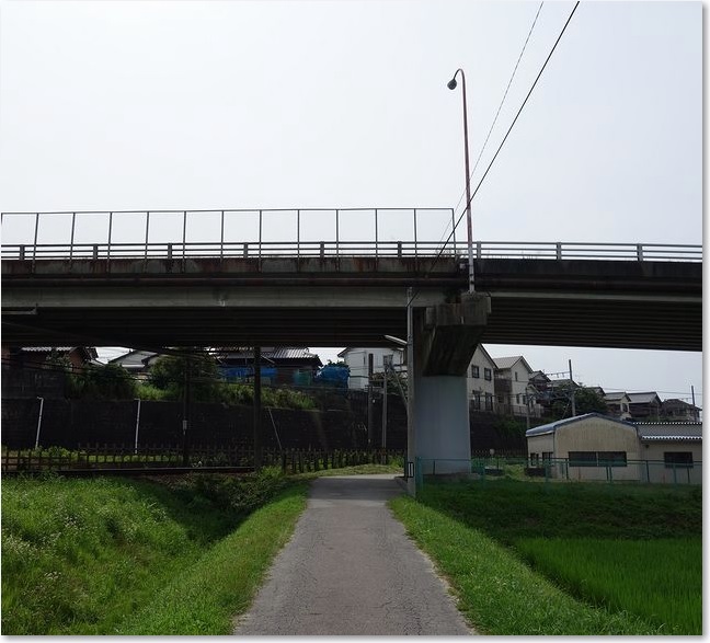 11道路をくぐる