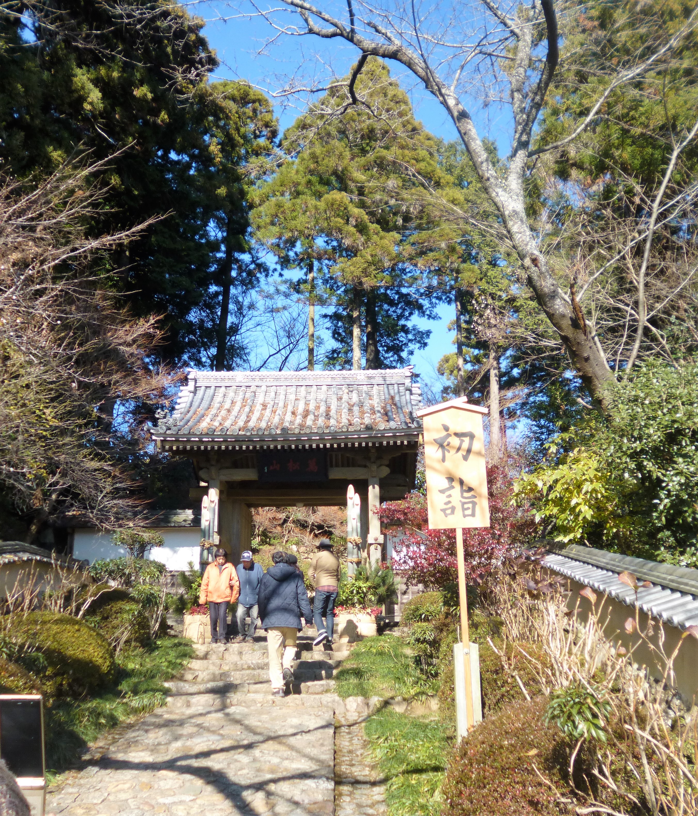 P1050333 - コピー.JPG