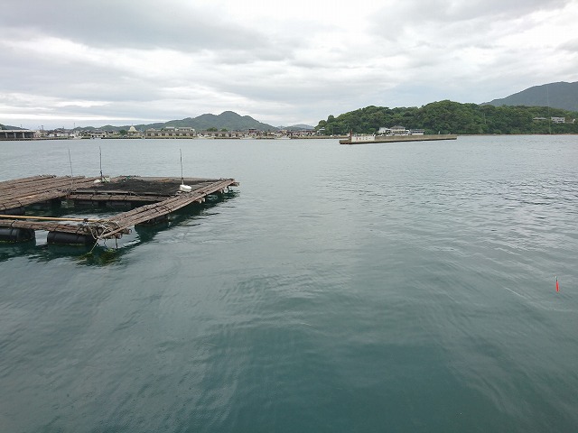 showPhoto (640×480)