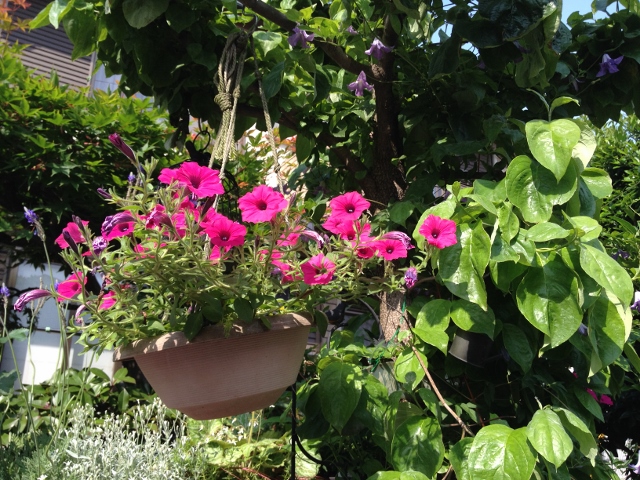 IMG_9306 (640x480).jpg