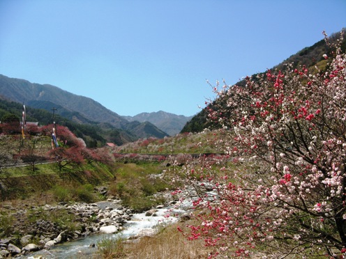 5 帰り道.jpg
