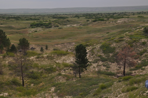 DSC_0086.JPG