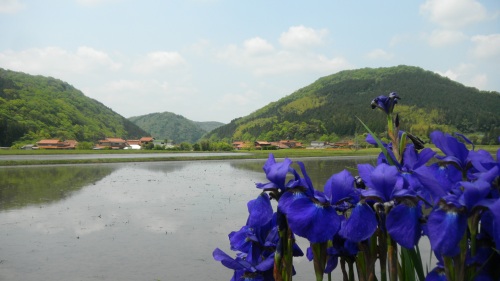 014嘉万への道 (2).JPG