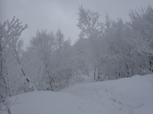 赤城 黒檜山4.jpg