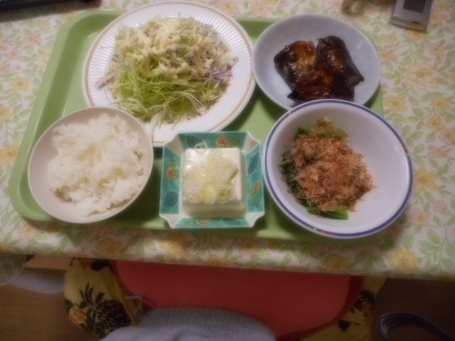DSCN0338.JPG