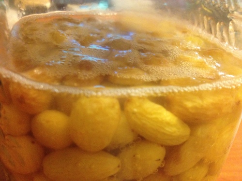 グリーンレーズン