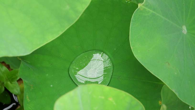 DSCF9103.JPG