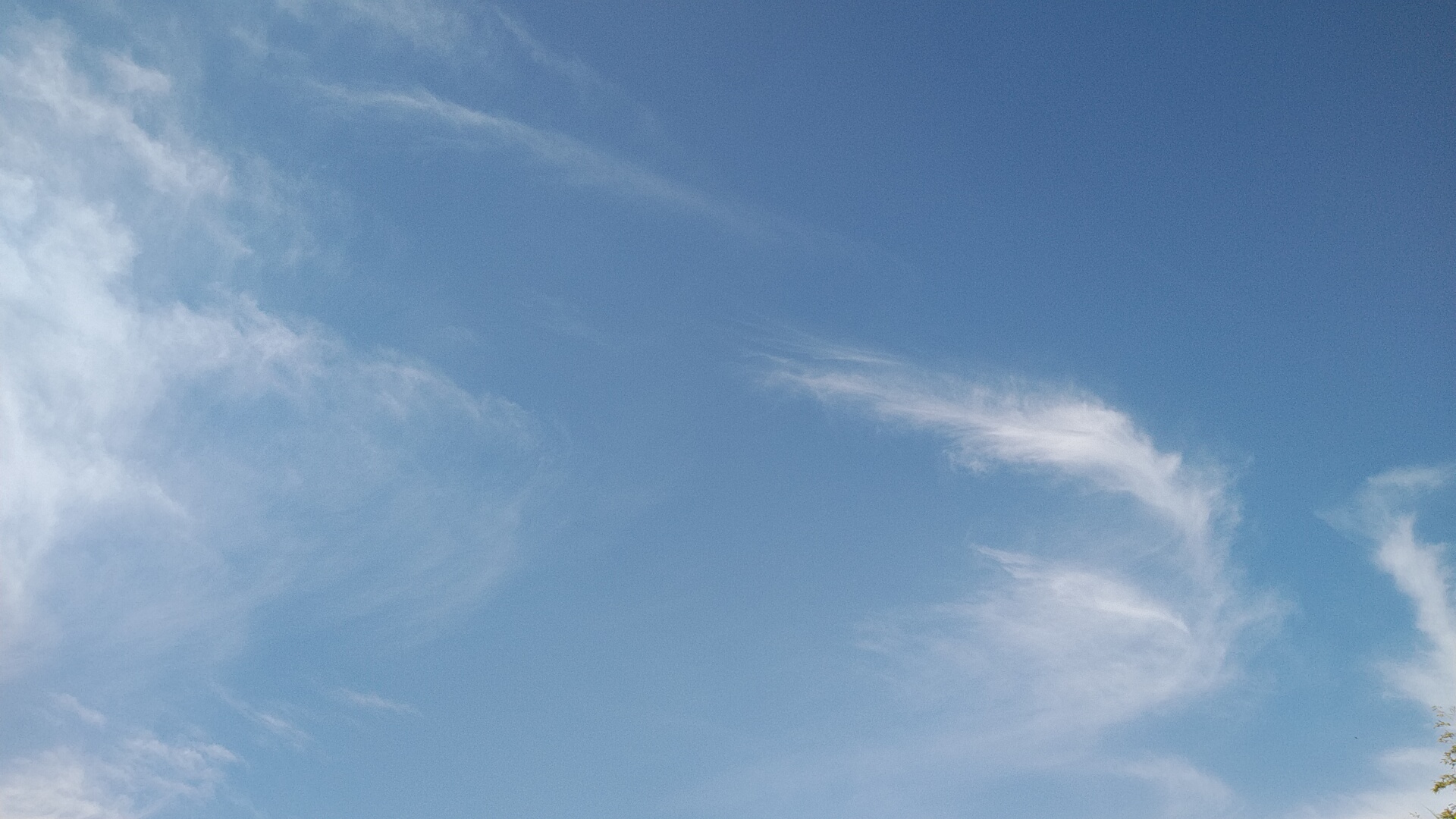20230702  DSC_0006.jpg