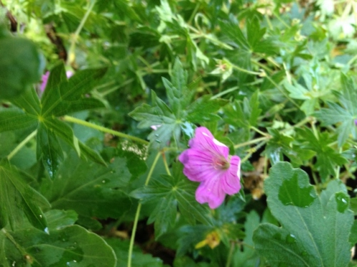 IMG_0471 (640x480).jpg